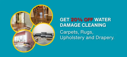 water damage offer